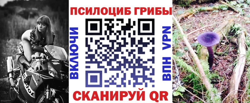 Псилоцибиновые грибы Cubensis  купить наркотик  Саки 