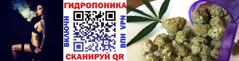 Каннабис планчик  KRAKEN как зайти  Саки 